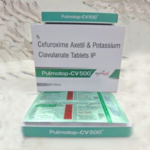 Pulmotop-CV 500