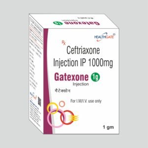 GATEXONE 1