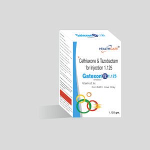 GATEXON TZ 1.125 INJECTION