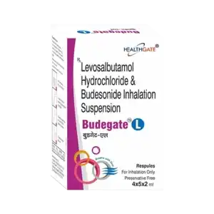 Budegate-L