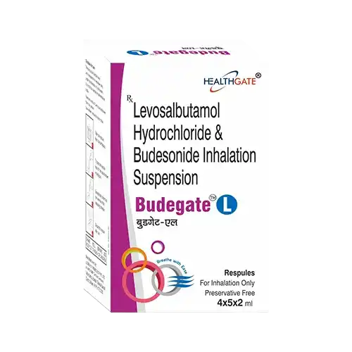 budegate-l