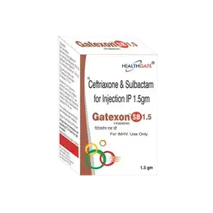 GATEXON SB 1.5 INJECTION img