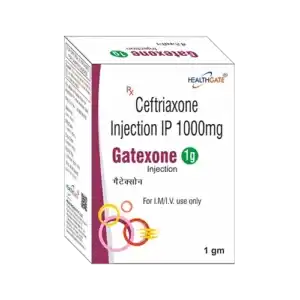 GATEXONE 1 img