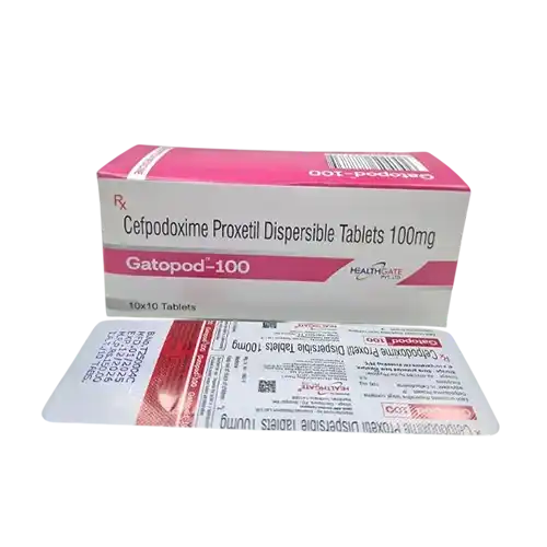 gatopod-100