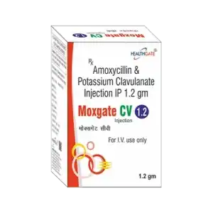 MOXGATE CV 1.2 img